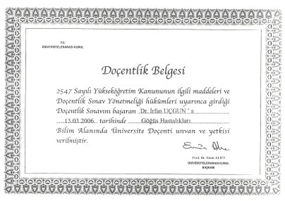 Doçentlik Belgesi